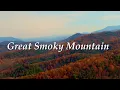 Great Smoky Mountains Autumn 4K 🍁 Wild Bears, Golden Forests & Breathtaking Fall Scenery