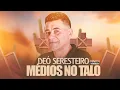 Download Lagu DÉO SERESTEIRO CD MÉDIOS NA LATA AO VIVO PRA PAREDÃO 2024