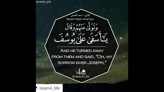 وتولى عنهم وقال يا أسفى على يوسف وابيضت عيناه من الحزن فهو كظيم سورة يوسف 