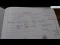 Basics of JAVA - Collection Architecture Elements