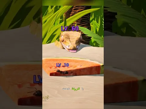 خدعة البطيخ تحولت إلى صيد مرعب! 😱🔥