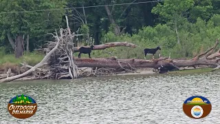 Somerset County Tourism s Smith Island Tour Part 2