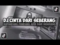 Download Lagu DJ KUPANDANG PANDANG ADIK DARI SEBERANG || CINTA DARI SEBERANG VIRAL TIKTOK FULL SONG MAMAN FVNDY