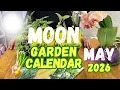 When to Plant in May 2026 Lunar Planting Calendar Gardening Tips
