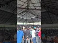 Download Lagu Tajen di KAYUAMBUA arena terbesar #shortvideo #bali