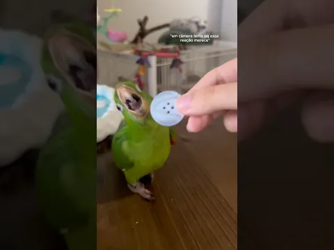 reação da framboesa com alguns objetos!! ⚽️