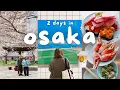 2 Days in Osaka Japan Best Local Food Must Visit Places Cafes Shopping Japan Travel Vlog