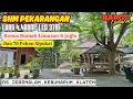 Download Lagu Dijual Rumah Limasan + Joglo \u0026 Tanah Luas 4400m + 70 Pohon Alpukat Dekat Jalan Nasional Solo-Jogja