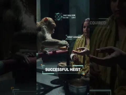 #Monkey #Hungry & #Angry #Funny #Monkeys #MonkeyVideo