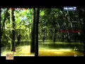Download Lagu Jejak Jejak Misterius Trans 7 - 4 Mei 2015 - Buaya Buntung Penyampai Pesan Desa Pagar Dewa Full