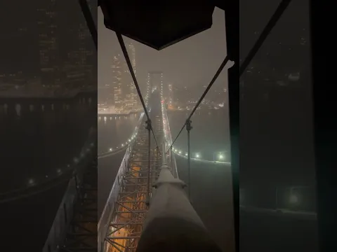 Snowfall from the top of the Williamsburg Bridge