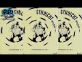 Download Lagu 🔥 M.A.T.T (Ego Trippin') | Cyndicut FM, Essex | 1992 | BREAKBEAT HARDCORE RAVE TECHNO