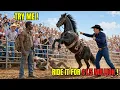 Wild Horse Threw Every Rider at the 1 5M Auction Then a Black Beggar Climbed the Fence
