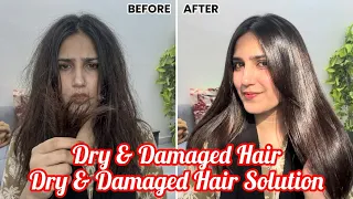 How to Fix Dry & Damaged Hair Fast | Best Protein Hair Mask