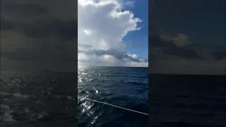 solo female boat life