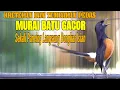 Download Lagu KRETEKAN DAN TEMBAKAN PEDAS MURAI BATU PAGI HARI BONGKAR ISIAN MEWAH 100% AMPUH BIKIN LAWAN GACOR