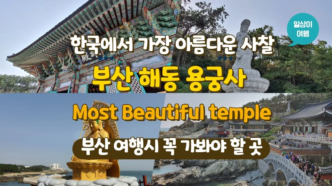 관련 영상 썸네일