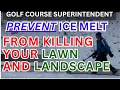 The Ice Melt Mistake Killing Your Grass