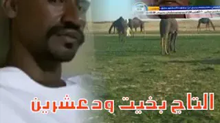 التاج ودعشرين 