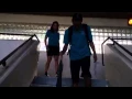 When Grizzlies walked upright