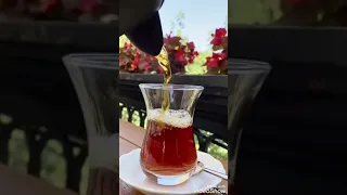 يا نبي سلام عليك ماهر زين حالات واتس اب وفيس بوك 