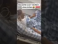 💋MASKINI GIGY MONEY ANAUMWA AMELAZWA😭🤲#globaltv #music #sound #breaking #globaltv #live #trending