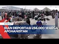 Download Lagu Iran Deportasi 256.000 Warga Afghanistan, UNICEF Ungkap Hal ini