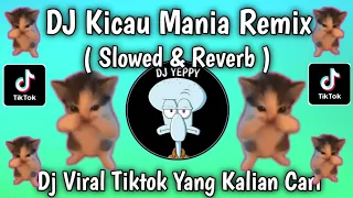 dj kicau mania remix slow viral tiktok the latest that youre looking for