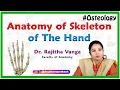 Anatomy of Skeleton of the hand Osteology Carpals Metacarpals and Phalanges
