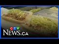 Made Right Here Harper s Deli