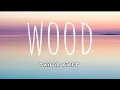 Download Lagu Taylor Swift - wood ( lyrics )