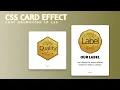 CSS Card Hover Effects Cards with Cool Animation HTML CSS