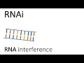 Download Lagu RNAi - RNA interference