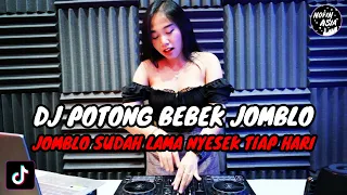 Download DJ POTONG BEBEK ANGSA MASAK DI KUALI JOMBLO SUDAH LAMA NYESEK TIAP HARI REMIX VIRAL TIKTOK 2023 MP3