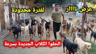 الحقوا الكلاب الجديدة 🔥🐕 قبل ماتخلص || العرض لفتره محدودة مع #ابونور 