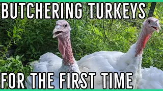 Butchering Turkeys For the First Time How to Process a Turkey Supplies Needed