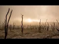 Download Lagu Windy Desert Ambience \u0026 Sounds | Lonely, Moody, Wind, Wilderness | Meditation White Noise | 12 Hours