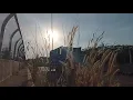 Download Lagu STORY WA SENJA ||tak eling eling||  #senja #shorts