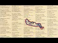 Worry Club - Nothin (Official Lyric Visualizer)