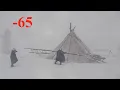 Lagu How do people survive in the Arctic tundra. Northern Russia. Reindeer herders nomads