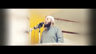 قال هو رجل قال لا بل شجرة دقائق لقلبك الشيخ محمود هاشم 