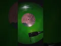Download Lagu Make sure to grab your copy of the limited emerald / lime / leaf green RNG vinyl 🌿💚🐉