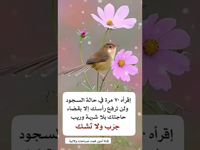 ⁣لن ترفع رأسك من السجود إلا واستجاب الله تعالى لدعائك حتما وبلا شبهة قل ٧٠ مرة في سجودك