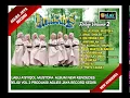 Lagu Vivi Artika - Yaa Asyiqol Musthofa [OFFICIAL]