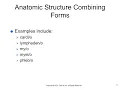 Medical Terminology Chapter 10 Cardiovascular Immune and Lymphatic Systems and Blood