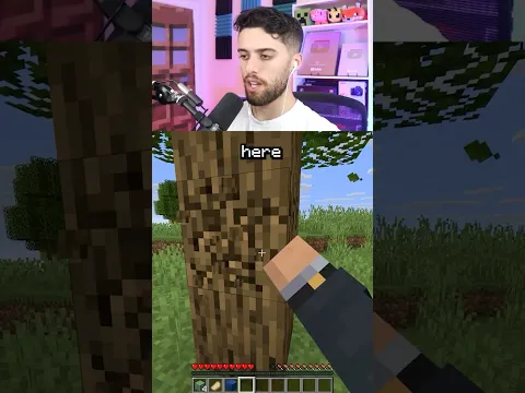 minecraft but drops = random
