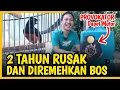 Download Lagu Rawatan Murai Rusak 2 Tahun ‼️ Sekarang Ngunci di Kroto ‼️ Juara 1 Hadiah Motor di Ngobar SGS Download Lagu Rawatan Murai Rusak 2 Tahun ‼️ Sekarang Ngunci di Kroto ‼️ Juara 1 Hadiah Motor di Ngobar SGS