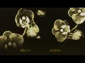Matt Hansen - Love Is Like a Garden (Lyric Video)