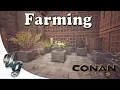 Conan Exiles - Farming