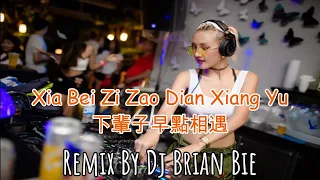 xia bei zi zao dian xiang yu electro manyao by dj brian bie dj 2024 remixmanyao